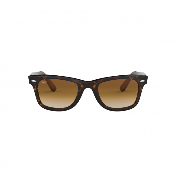 Buy Women's Aqua Di Polo Women Black Polarised and UV Protected Lens Wayfarer  Sunglasses Online | Centrepoint KSA